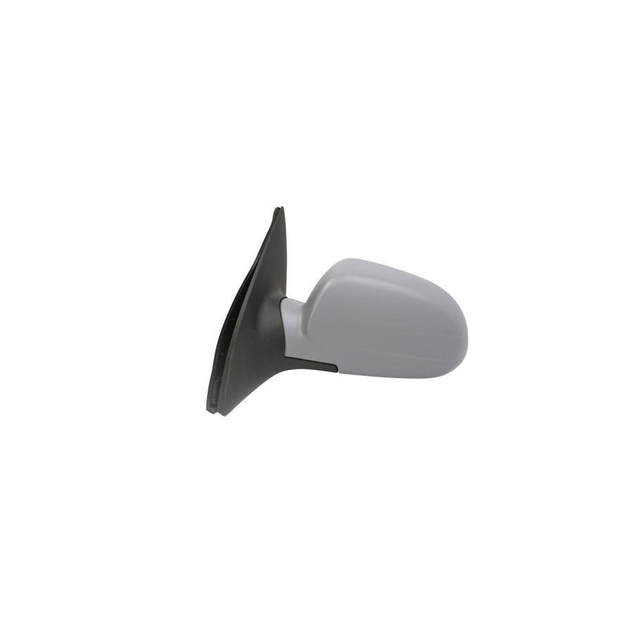 Blic 5402-56-002361P Wing Mirror