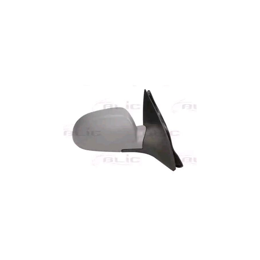 Blic 5402-56-002360P Wing Mirror