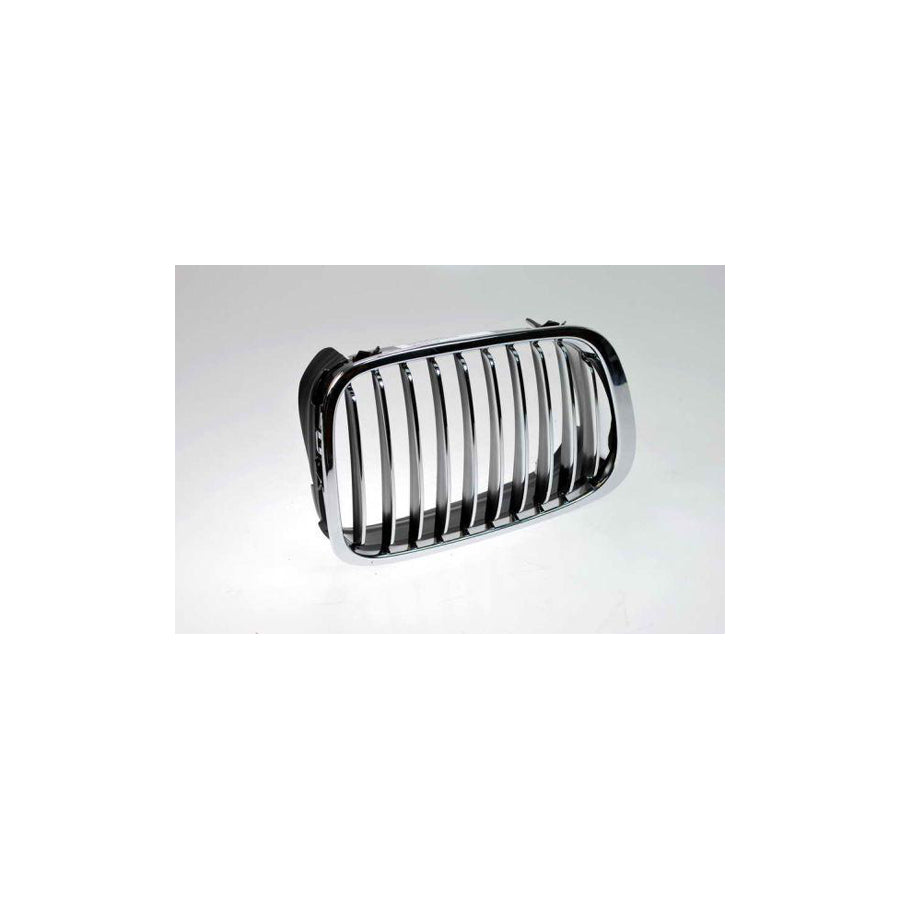 Blic 6502-07-0061992P Radiator Grille For BMW 3 Series