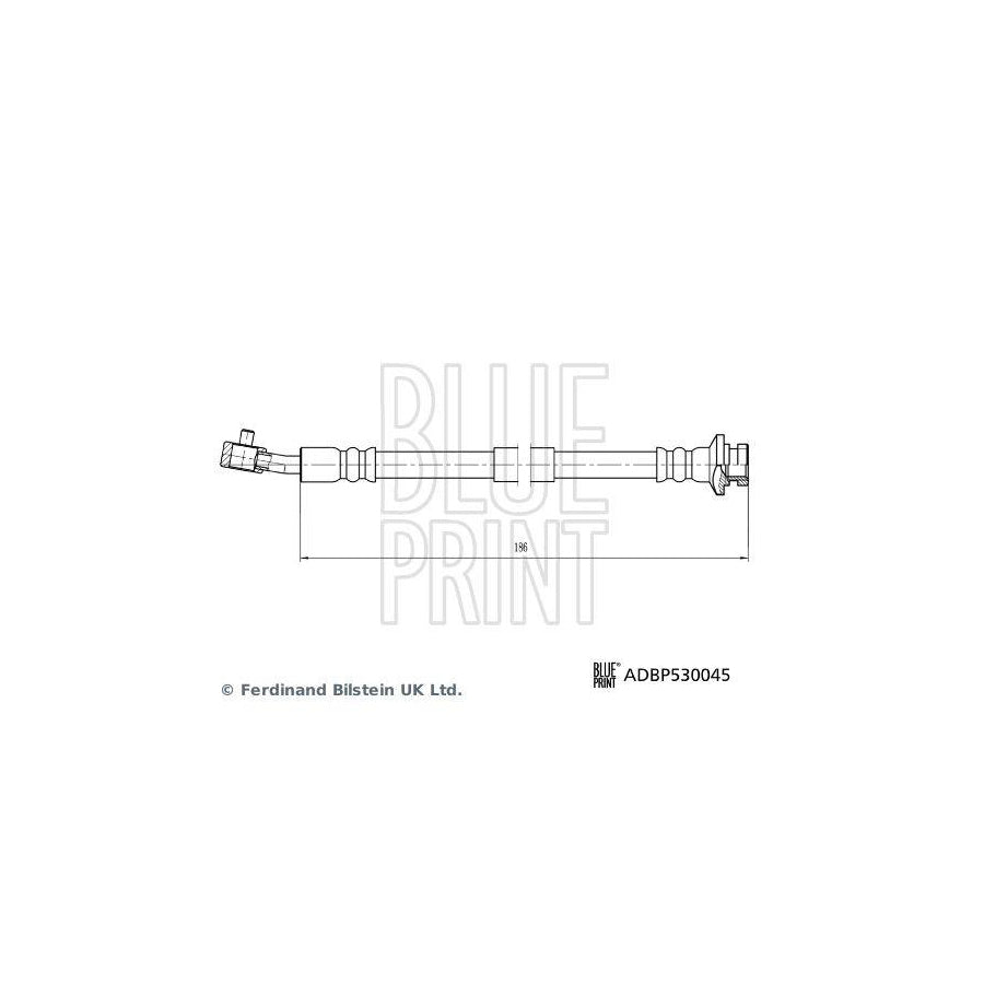 Blue Print ADBP530045 Brake Hose For Nissan Qashqai II (J11)