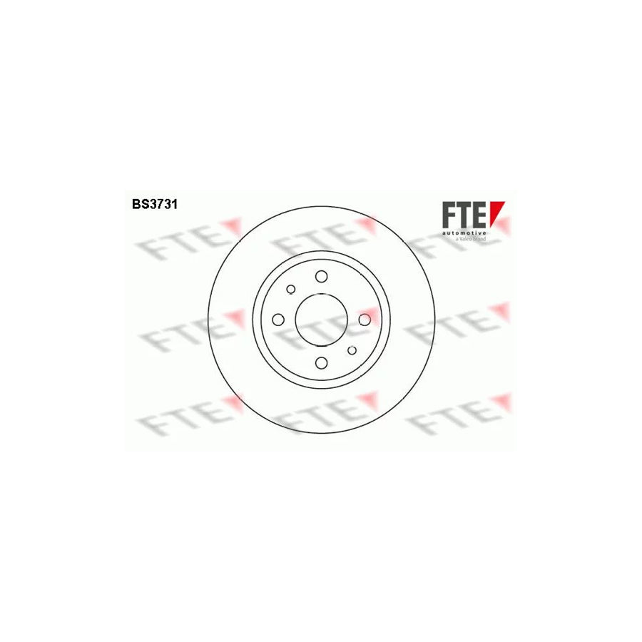 Fte BS3731 Brake Disc | ML Performance UK Car Parts