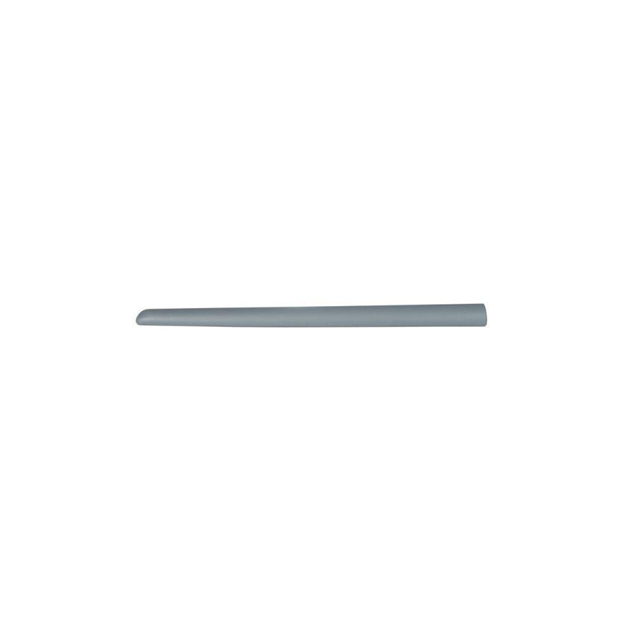 Blic 5703-04-0519576P Door Molding For Citroen C3 I Hatchback (Fc, Fn)