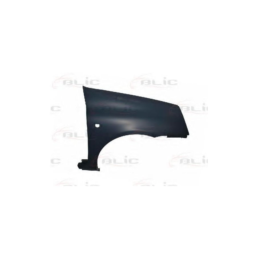 Blic 6504-04-6032314P Wing Fender