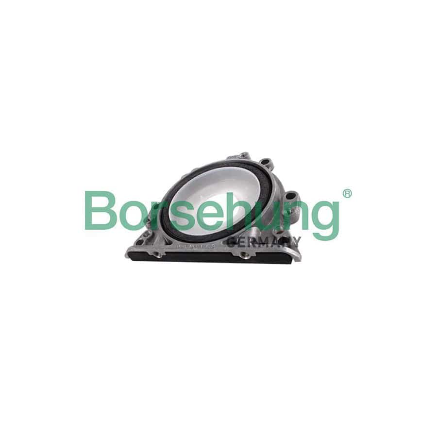 Borsehung B12196 Crankshaft Seal