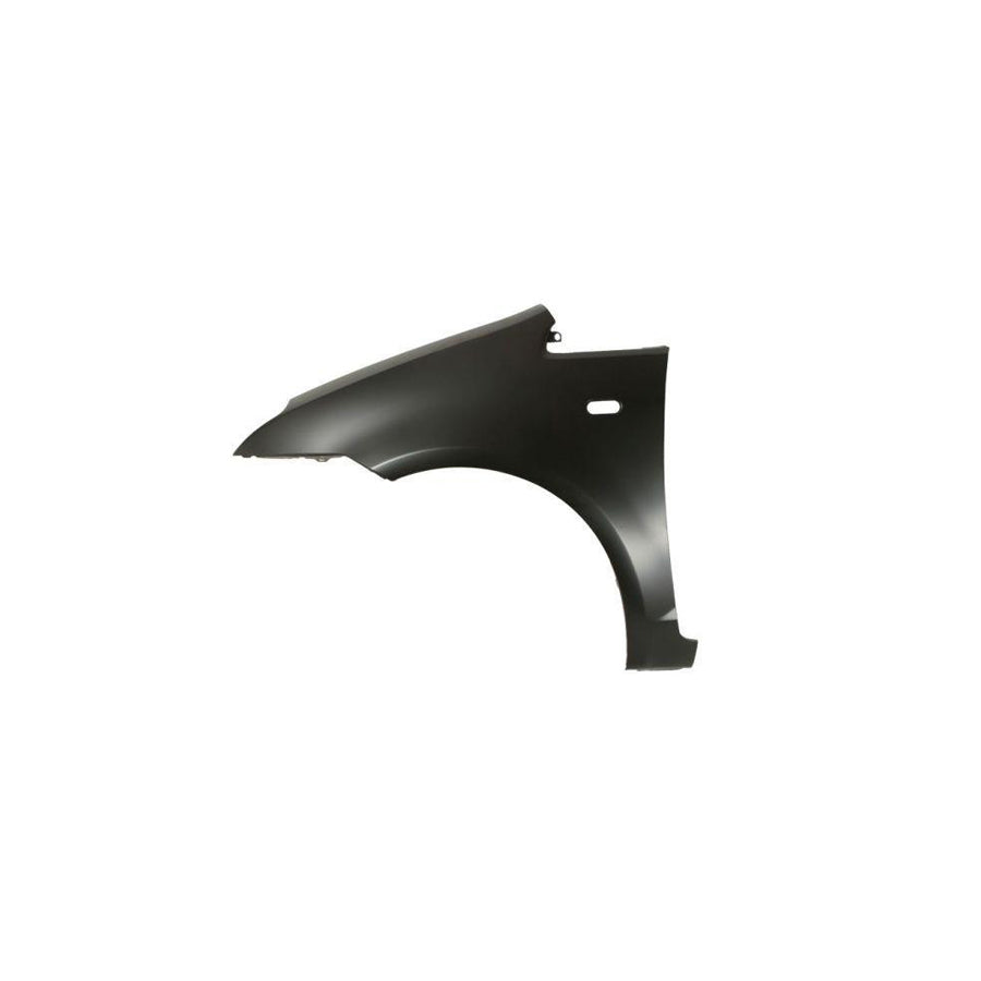 Blic 6504-04-2534311P Wing Fender