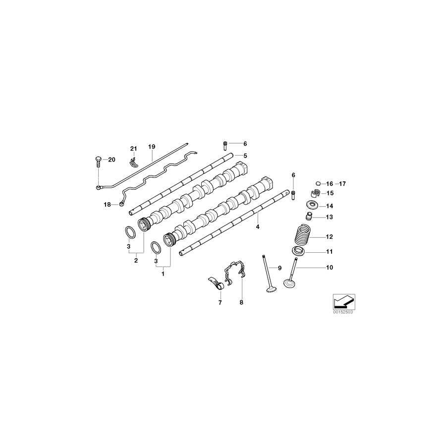 Genuine BMW 11347671091 Valve Spring (Inc. 320si) | ML Performance UK Car Parts