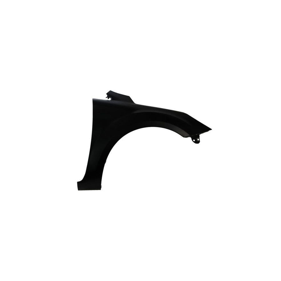 Blic 6504-04-2533314Q Wing Fender For Ford Focus