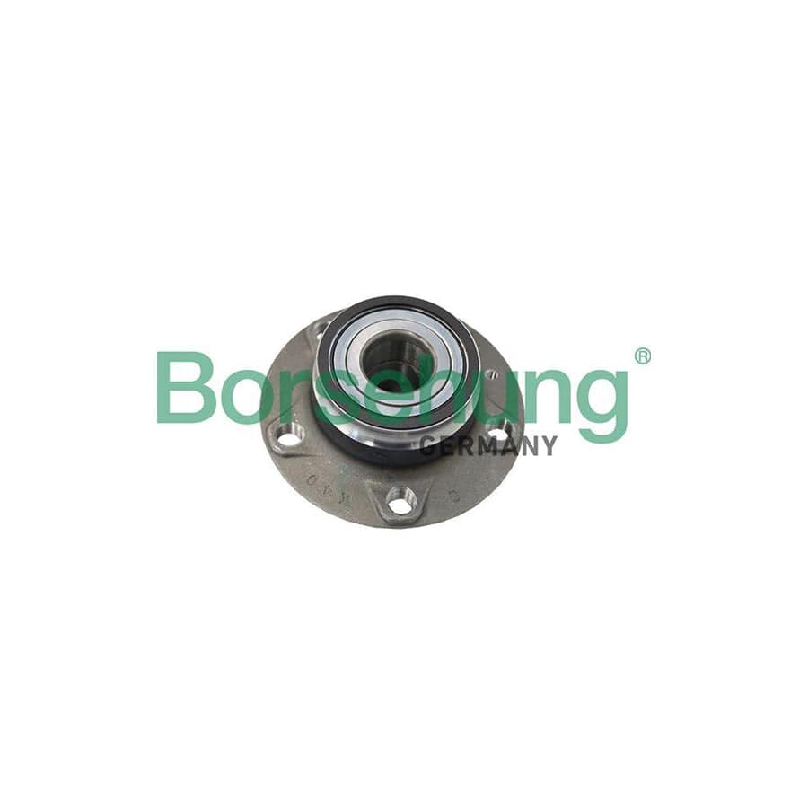 Borsehung B19119 Wheel Bearing Kit