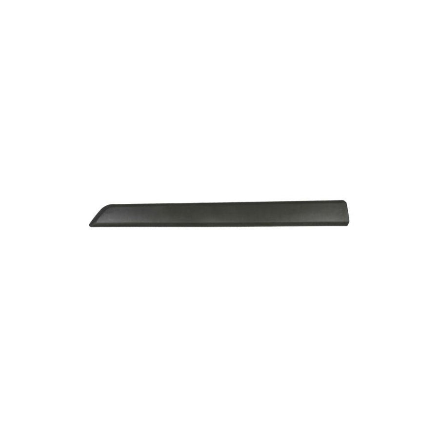 Blic 5703-04-0553572P Door Molding