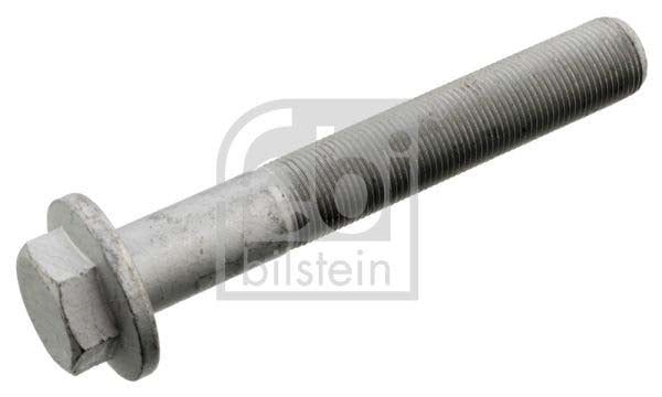 Febi Bilstein 101829 Screw | ML Performance UK Car Parts