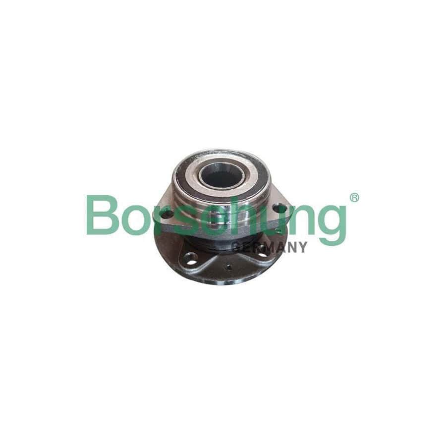 Borsehung B19118 Wheel Bearing Kit