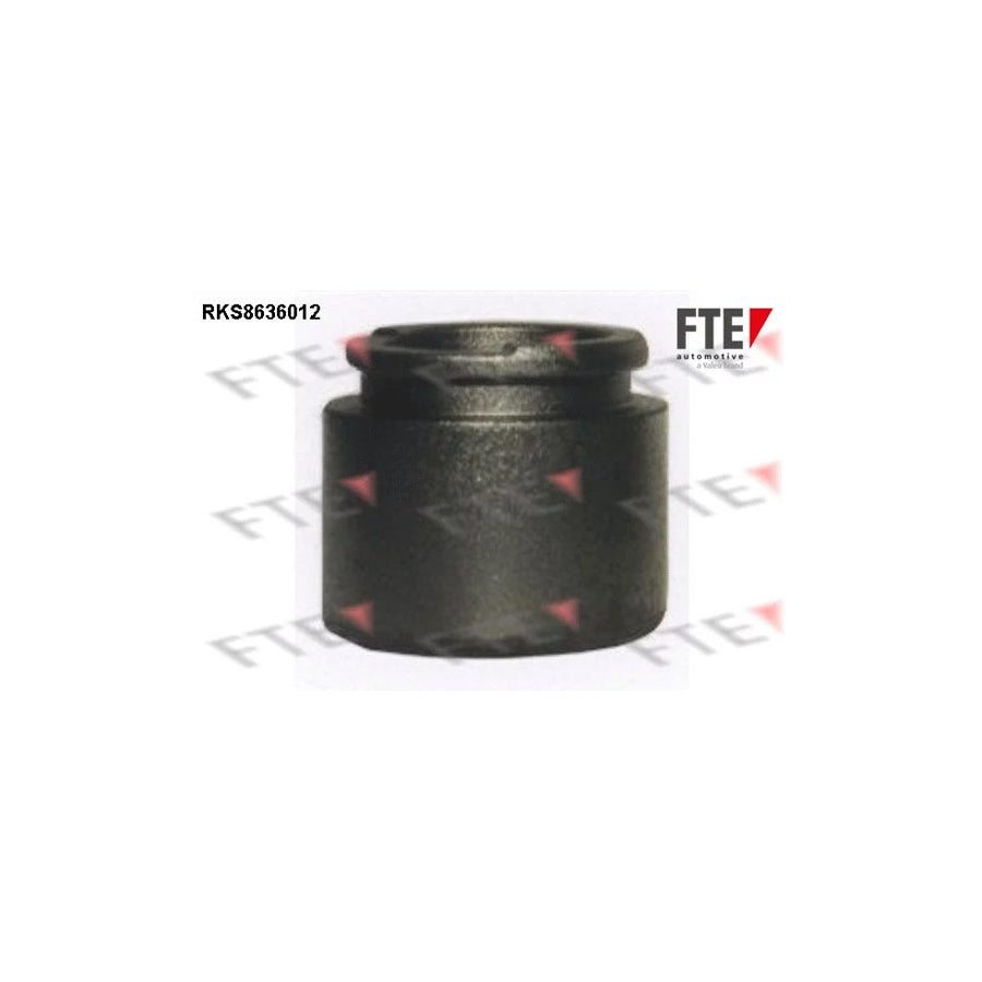 Fte 9313329 Piston, Brake Caliper | ML Performance UK Car Parts