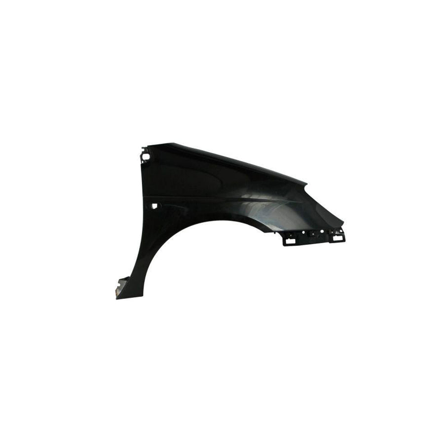 Blic 6504-04-6038314Q Wing Fender For Renault Scénic I (Ja0/1, Fa0)