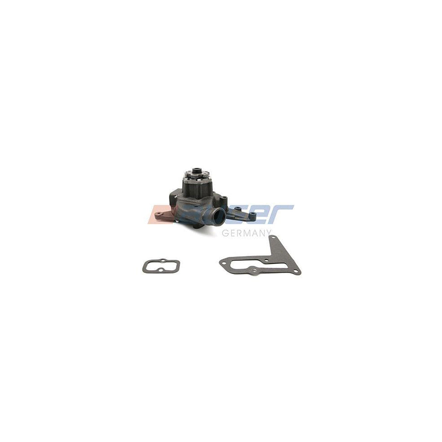 Auger 105580 Water Pump