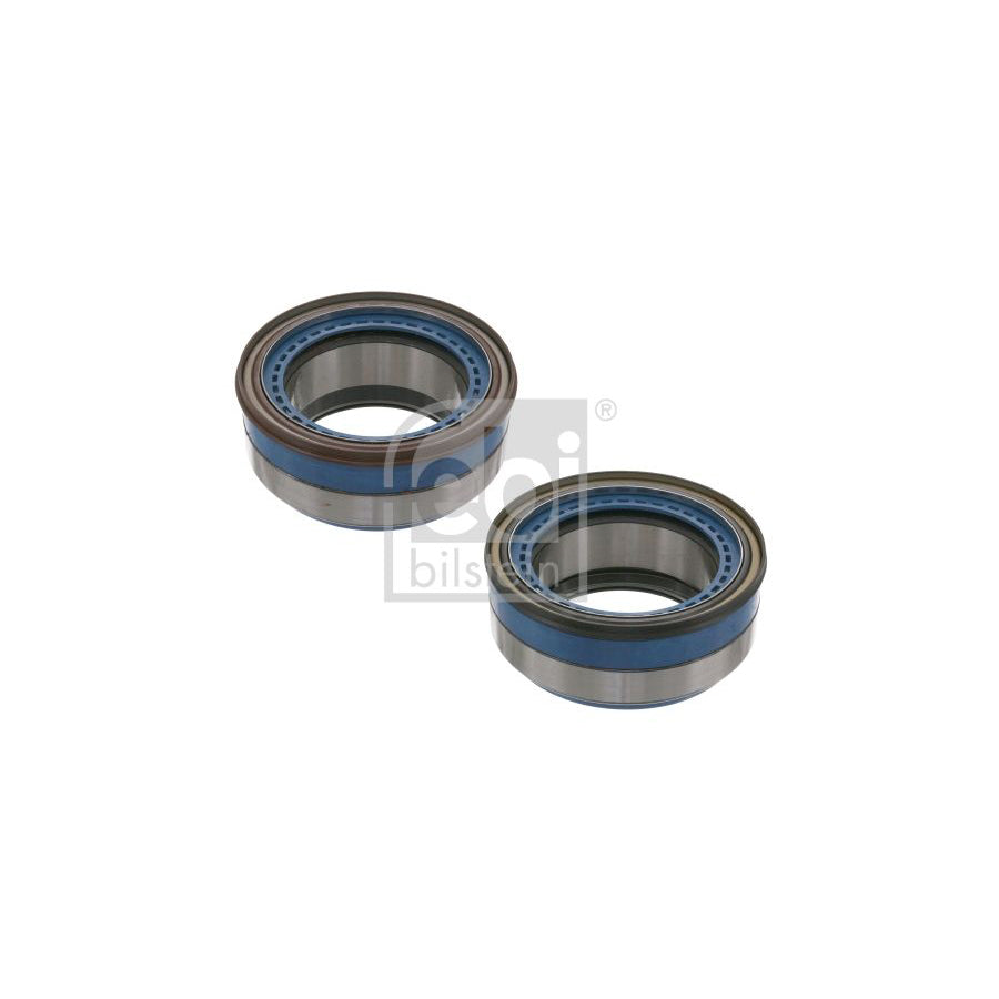 Febi Bilstein 102555 Wheel Bearing Kit