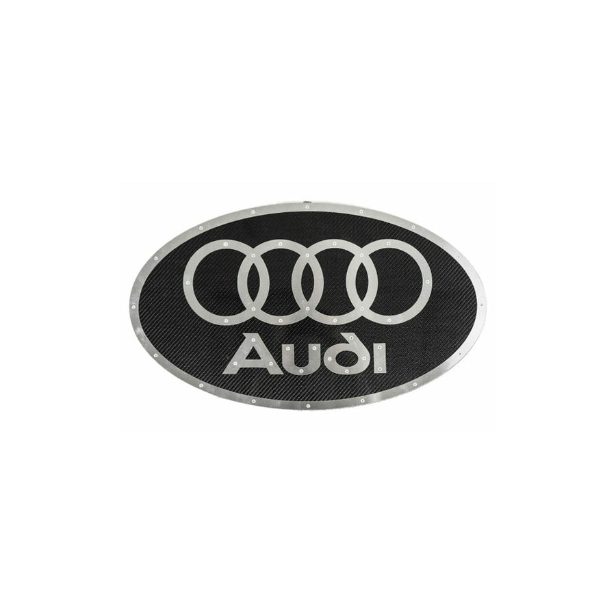 Fabspeed Carbon Fiber Wall Art - Audi | ML Performance UK