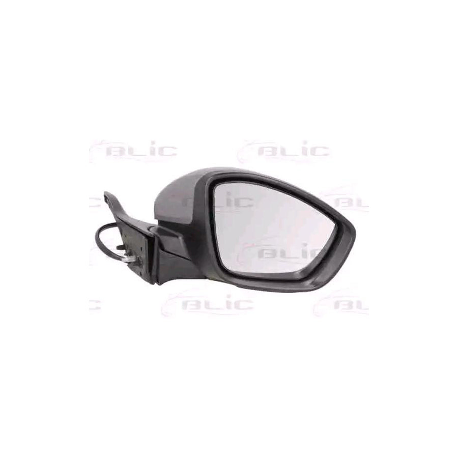 Blic 5402-08-2002058P Wing Mirror