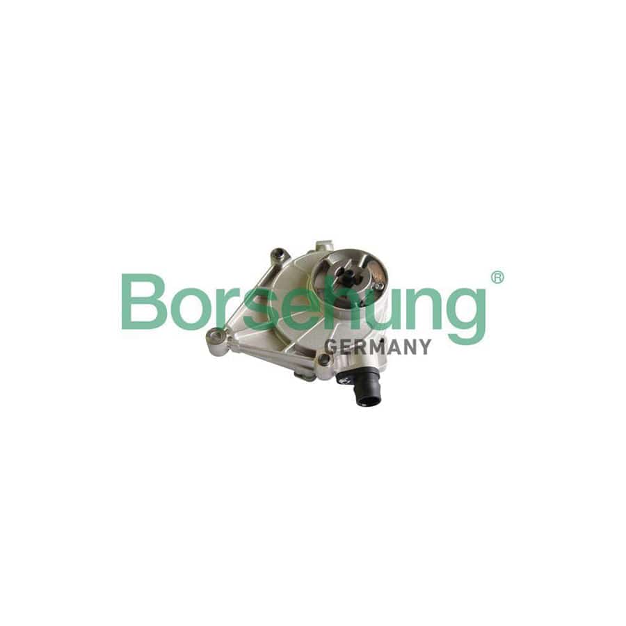 Borsehung B12223 Brake Vacuum Pump