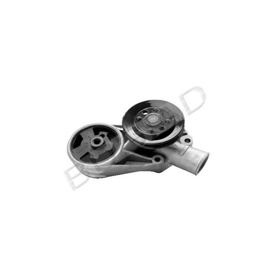 Bugiad BSP22101 Water Pump For Skoda Favorit