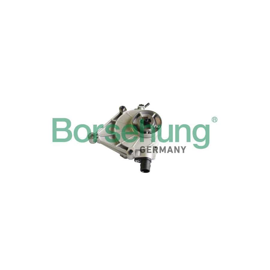 Borsehung B12221 Brake Vacuum Pump