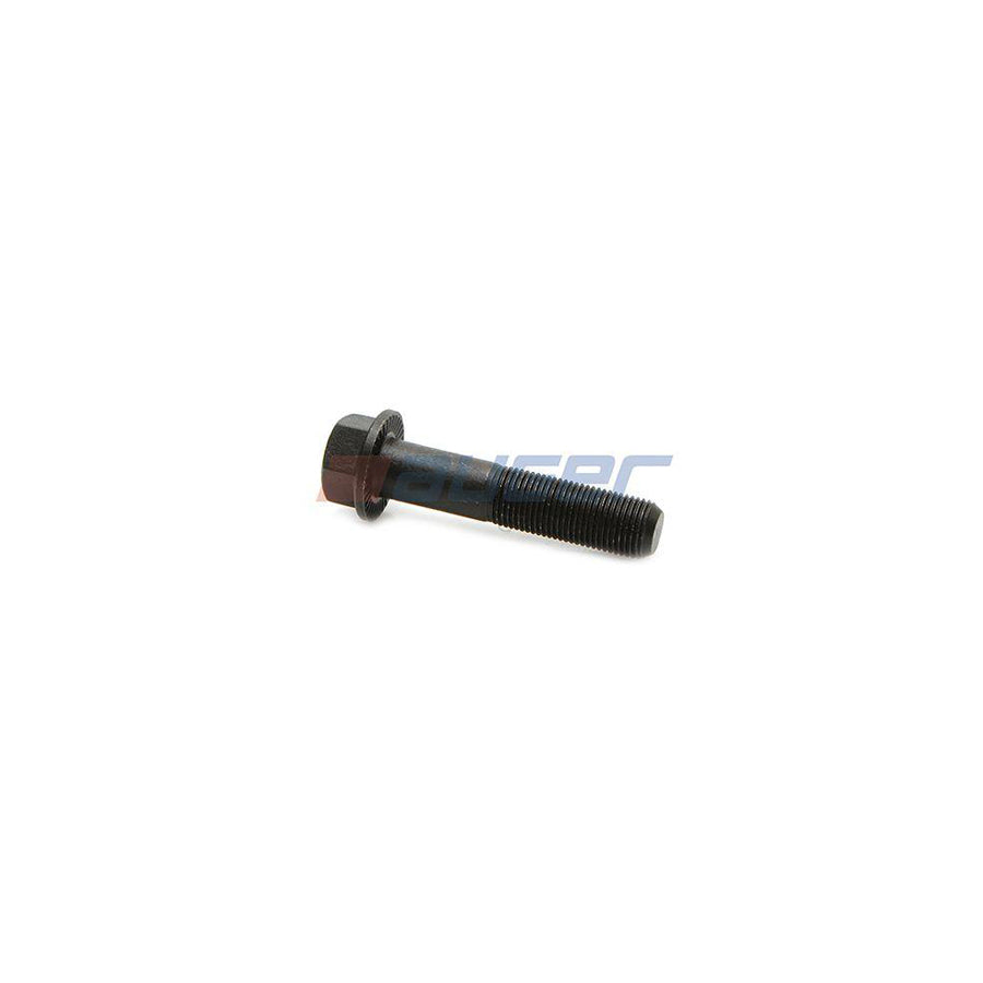 Auger 74687 Screw