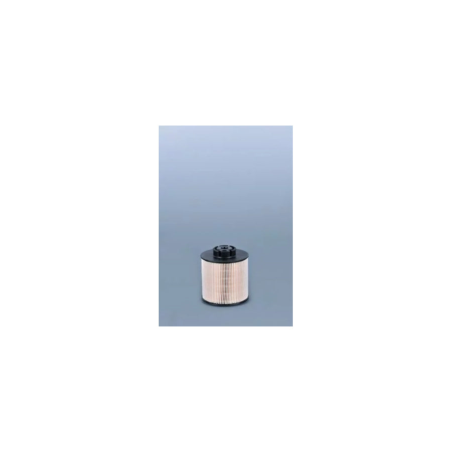 Fleetguard FF5380 Fuel Filter | ML Performance UK Car Parts