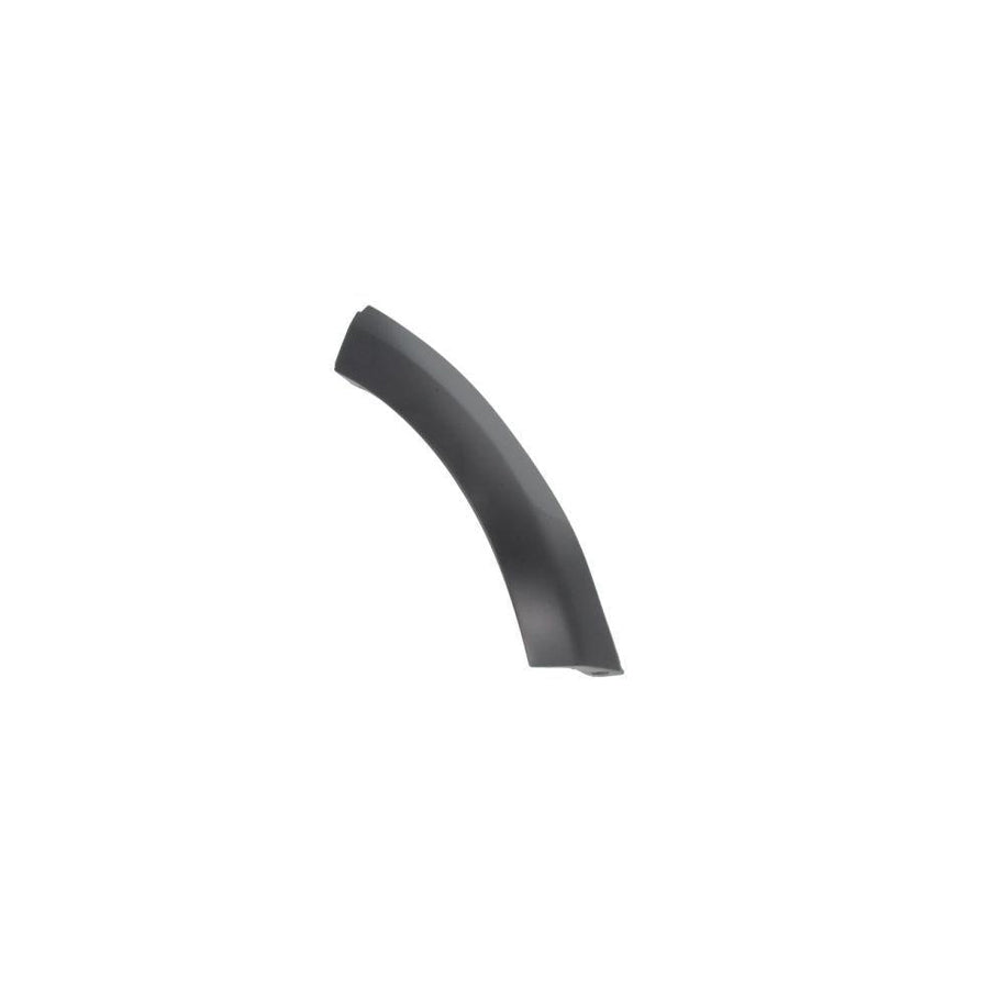 Blic 5703-04-1302595P Trim / Protective Strip, Mudguard For Dacia Sandero I (Sd)