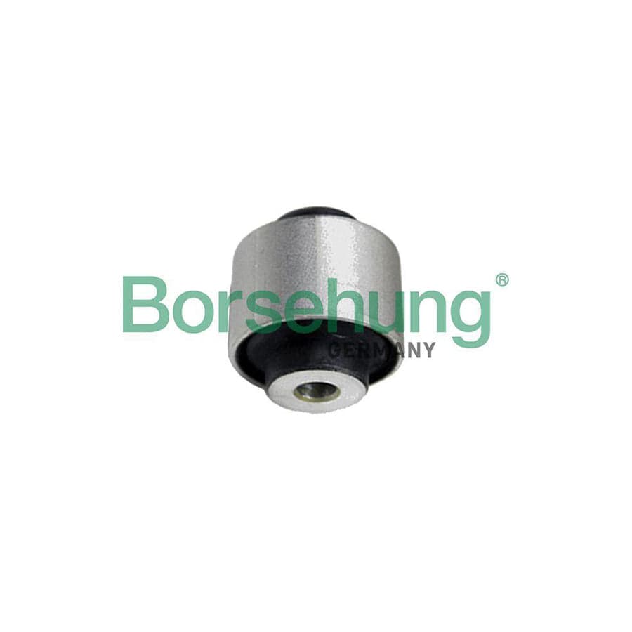 Borsehung B19111 Control Arm- / Trailing Arm Bush For Audi A4