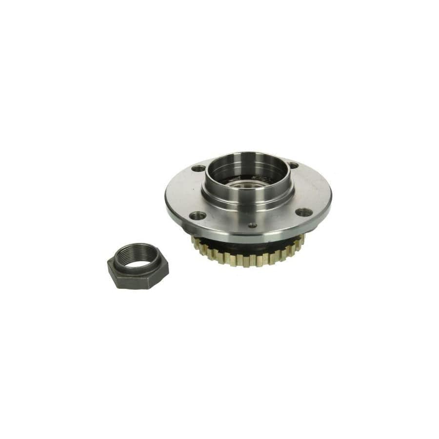 Bta H2C019BTA Wheel Bearing Kit