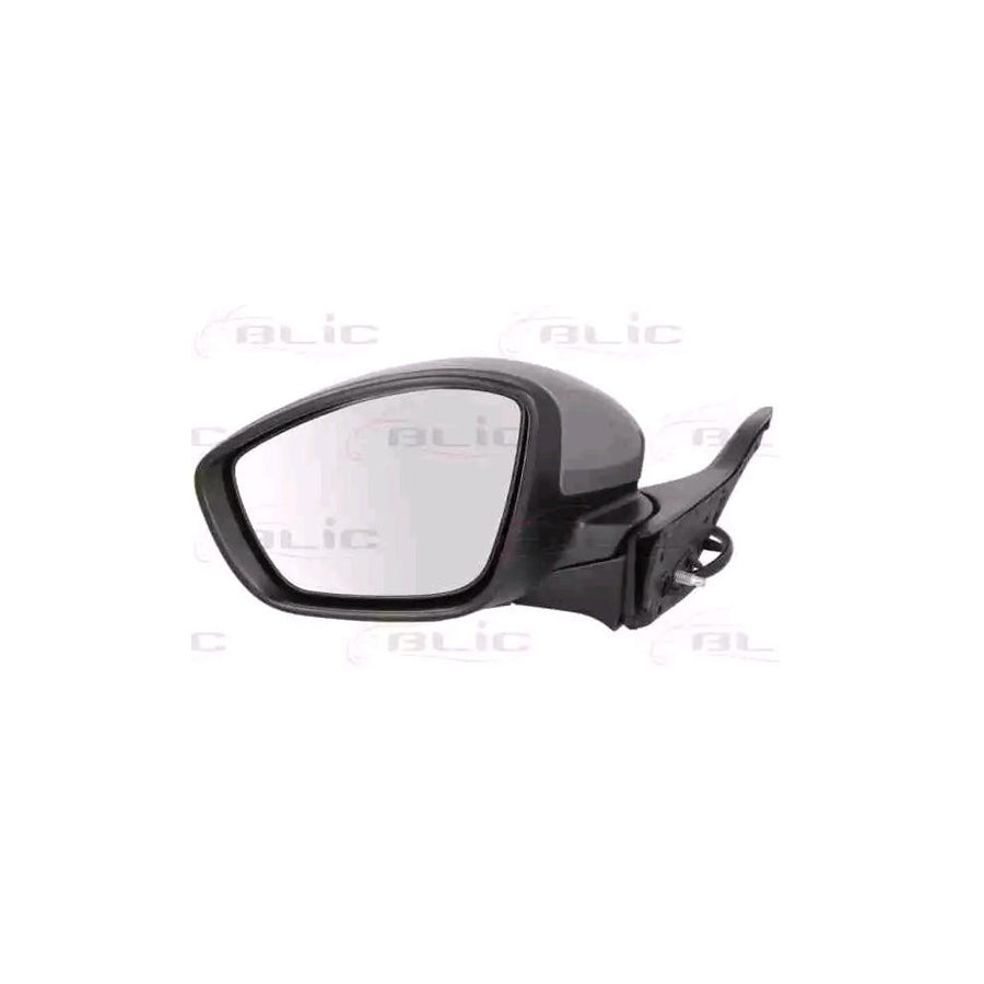 Blic 5402-08-2002053P Wing Mirror