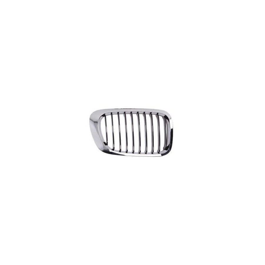 Blic 6502-07-0061994Pp Radiator Grille For BMW 3 Series