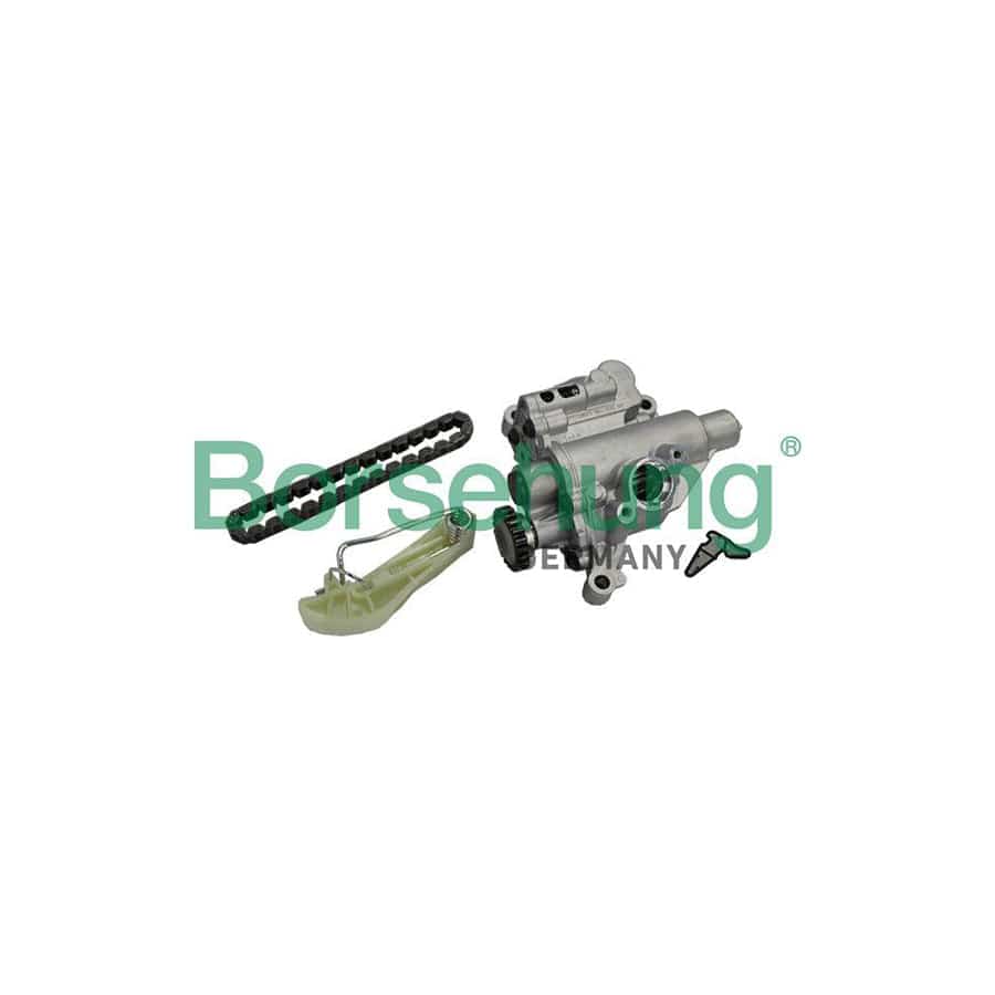 Borsehung B19140 Oil Pump