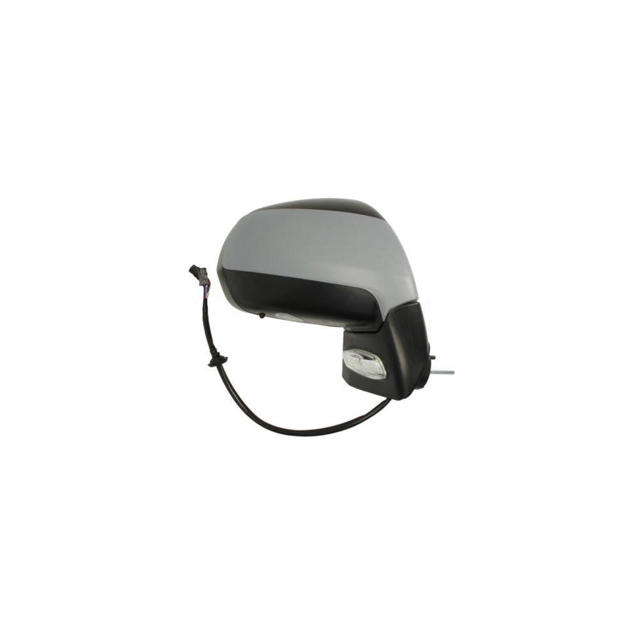 Blic 5402-08-031364P Wing Mirror