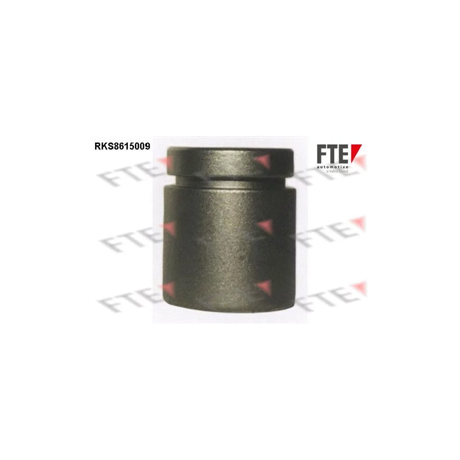 Fte RKS8615009 Piston, Brake Caliper | ML Performance UK Car Parts