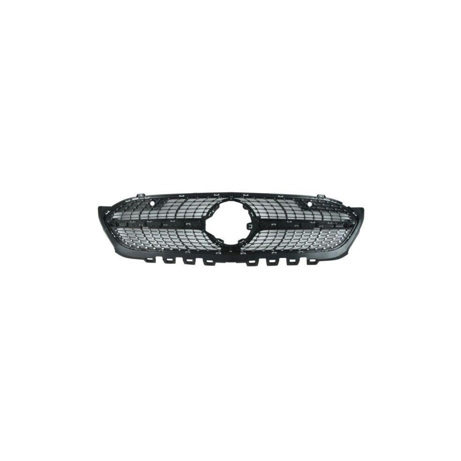 Blic 6502-07-3570992P Radiator Grille Suitable For Mercedes-Benz A-Class