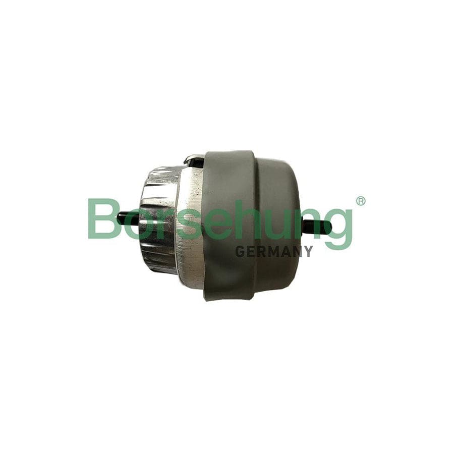 Borsehung B19136 Engine Mount For Audi A6