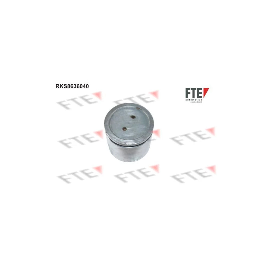 Fte 9313346 Piston, Brake Caliper | ML Performance UK Car Parts