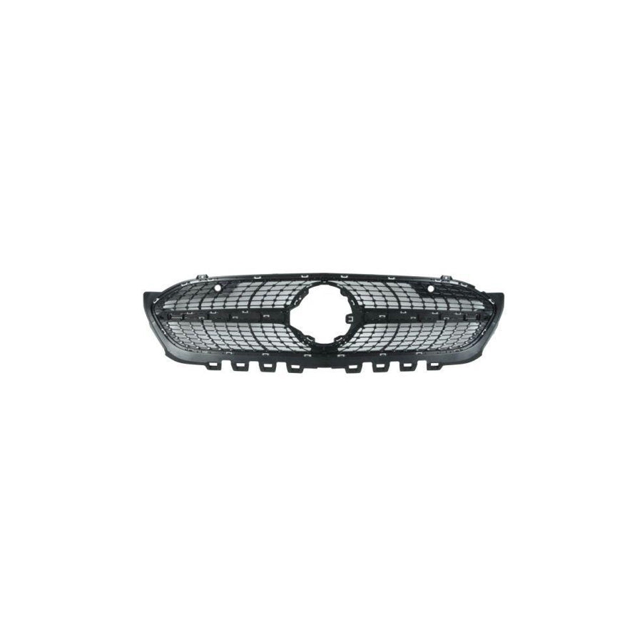 Blic 6502-07-3570991P Radiator Grille Suitable For Mercedes-Benz A-Class