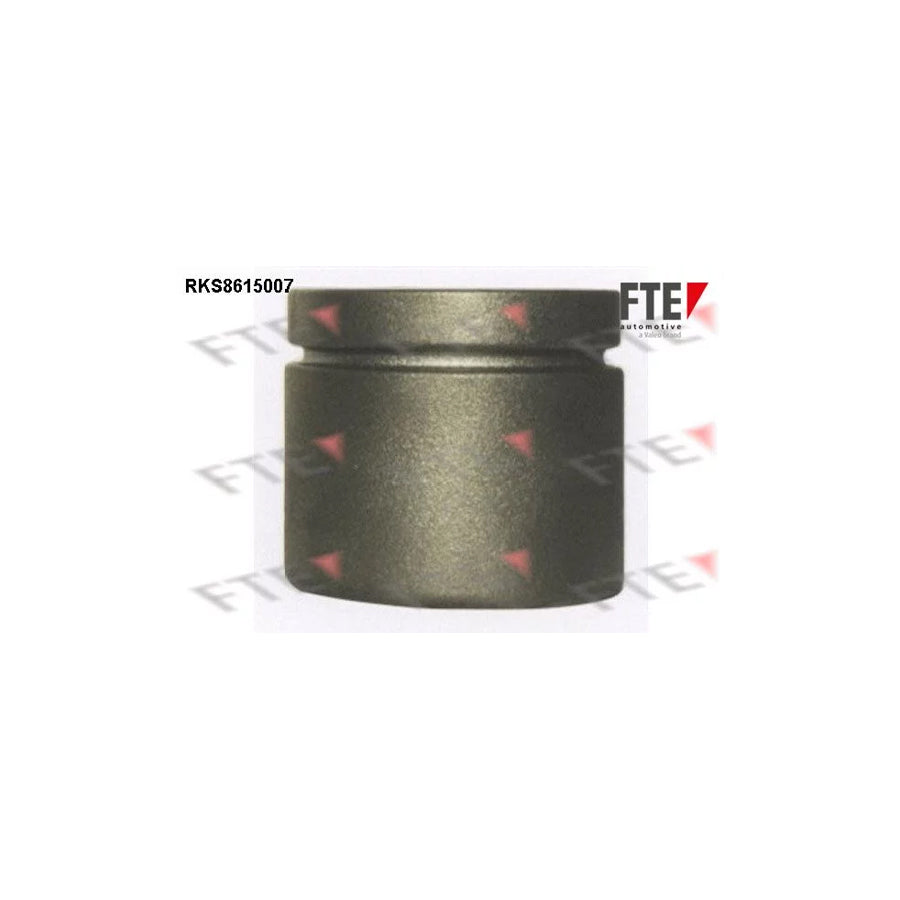 Fte RKS8615007 Piston, Brake Caliper | ML Performance UK Car Parts