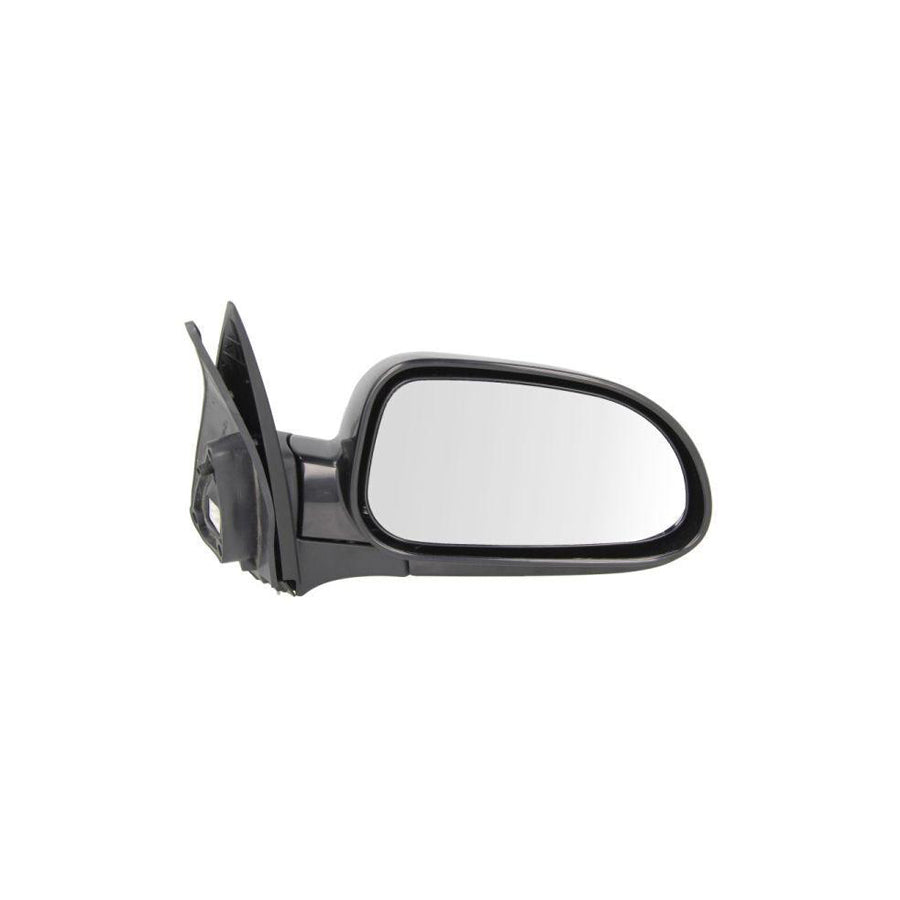 Blic 5402-56-2001072P Wing Mirror