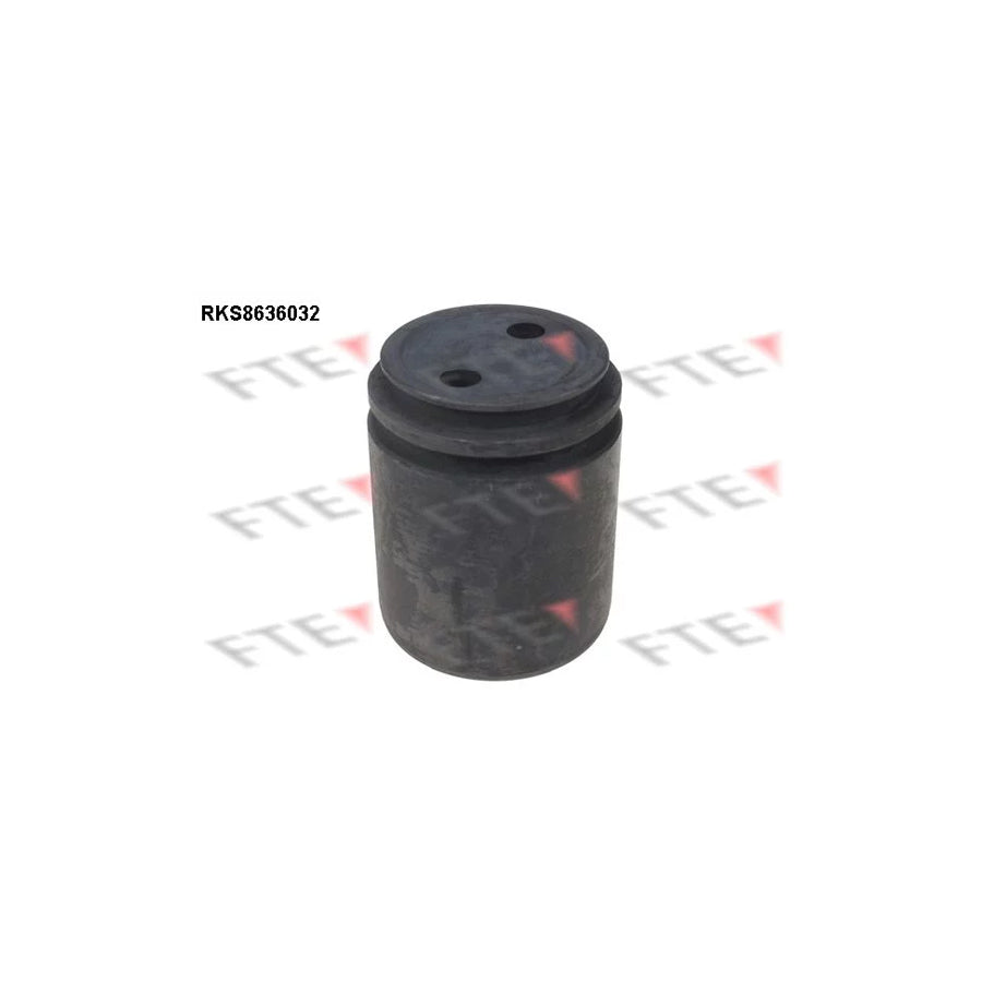 Fte 9313341 Piston, Brake Caliper | ML Performance UK Car Parts