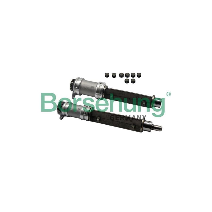 Borsehung B19132 Lock Mandrel, Balancer Shaft