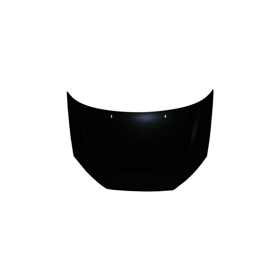 Blic 6803-00-2532280P Bonnet For Ford Focus