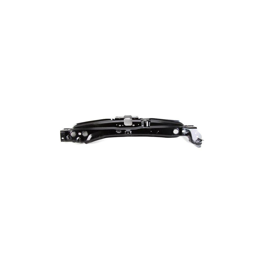 Blic 6502-08-2510200P Front Cowling For Ford Transit