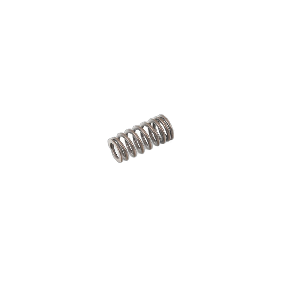 Genuine BMW 11348603911 F32 F33 F21 Valve Spring (Inc. 440iX, 740LeX & 230i) | ML Performance UK Car Parts