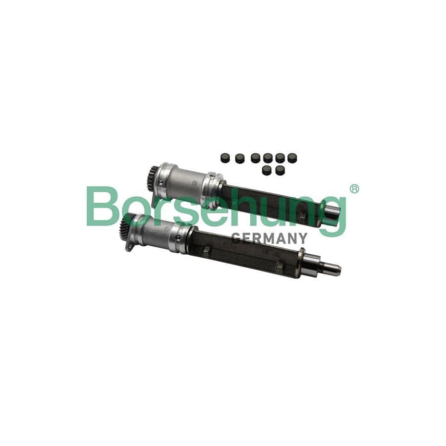 Borsehung B19131 Lock Mandrel, Balancer Shaft