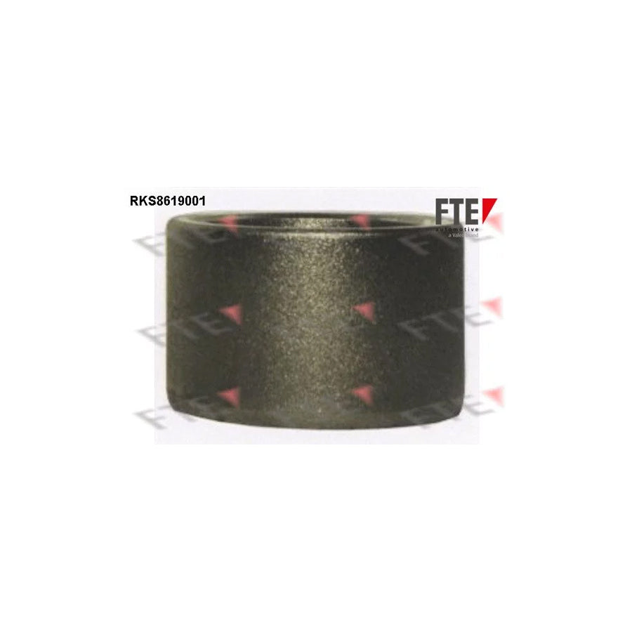 Fte RKS8619001 Piston, Brake Caliper | ML Performance UK Car Parts