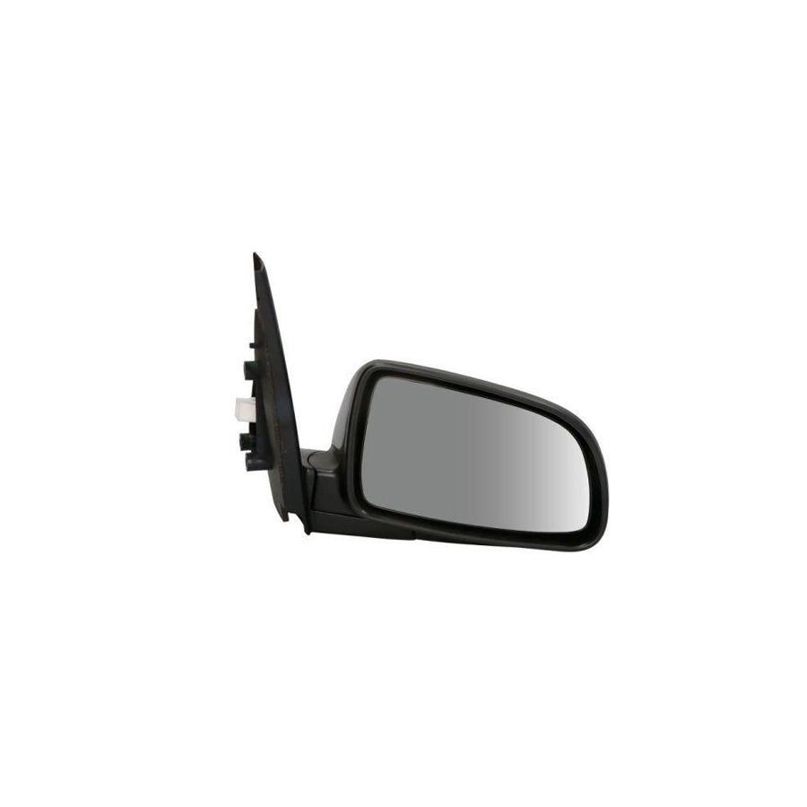 Blic 5402-56-2001068P Wing Mirror