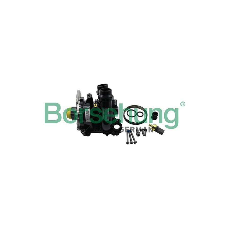 Borsehung B19130 Repair Kit, Water Pump