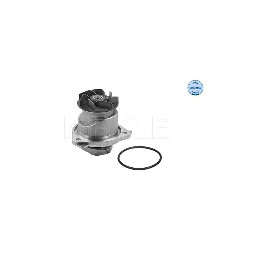 Meyle 113 220 0012 Water Pump